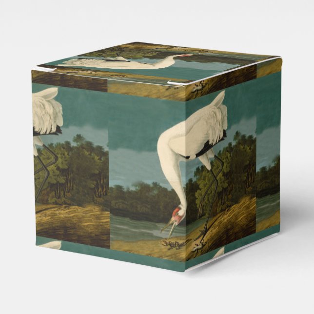 Whooping Crane Audubon Bird Painting Favor Boxes (Front Side)