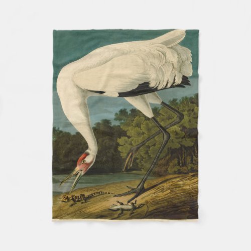 Whooping Crane Audubon Bird Painting Fleece Blanket