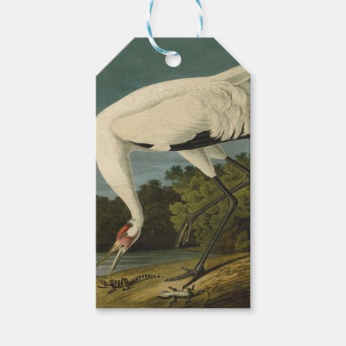 Whooping Crane Audubon Bird Painting Gift Tags