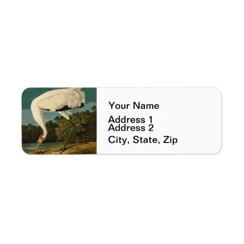 Whooping Crane Audubon Bird Painting Label