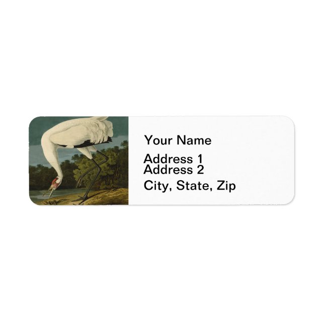 Whooping Crane Audubon Bird Painting Label (Front)