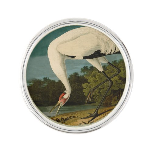 Whooping Crane Audubon Bird Painting Lapel Pin