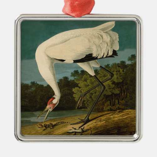 Whooping Crane Audubon Bird Painting Metal Ornament