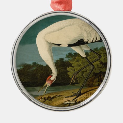 Whooping Crane Audubon Bird Painting Metal Ornament