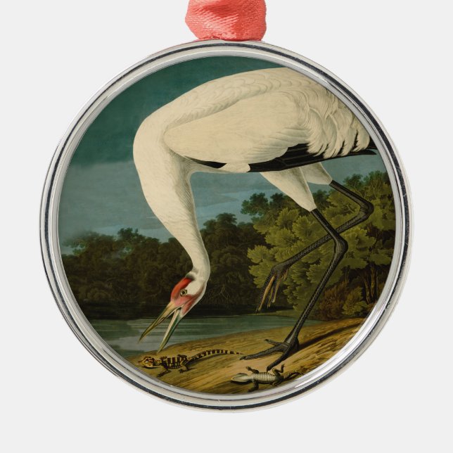 Whooping Crane Audubon Bird Painting Metal Ornament (Front)