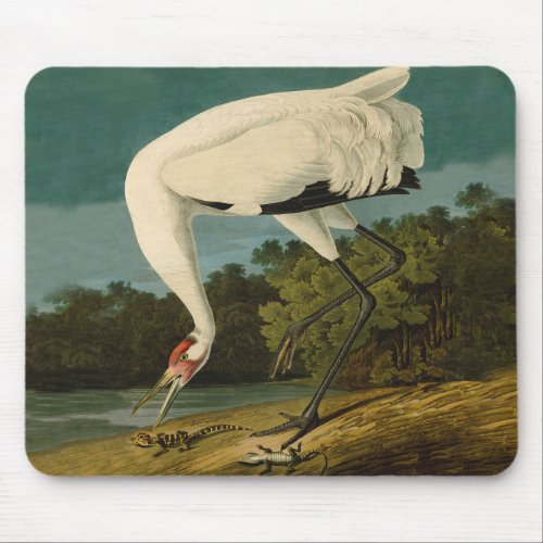 Whooping Crane Audubon Bird Painting Mouse Pad