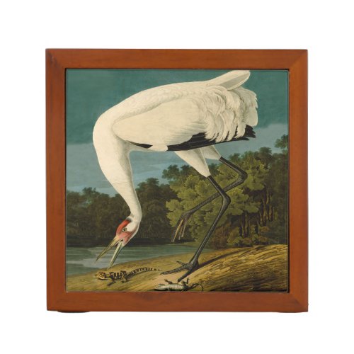 Whooping Crane Audubon Bird Painting PencilPen Holder