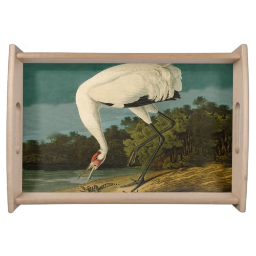 Whooping Crane Audubon Bird Painting Serving Tray