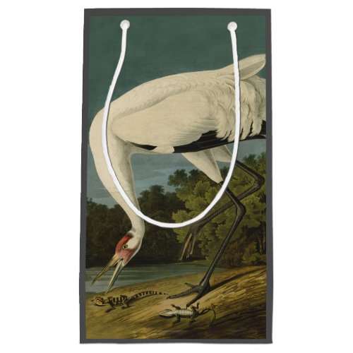 Whooping Crane Audubon Bird Painting Small Gift Bag