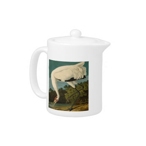 Whooping Crane Audubon Bird Painting Teapot