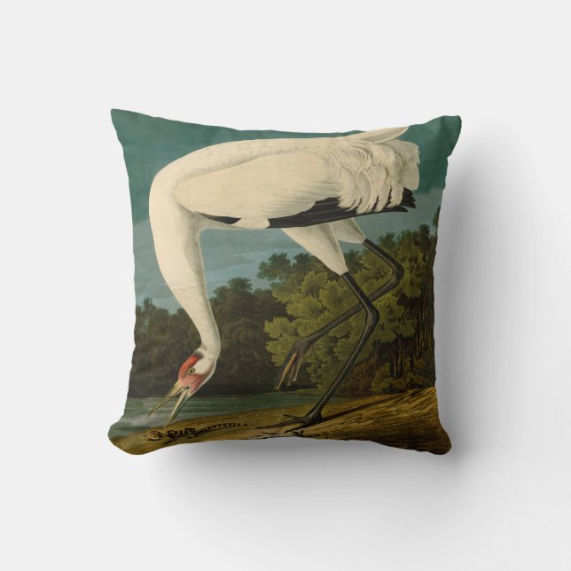 Whooping Crane Audubon Bird Painting Throw Pillow (Front)