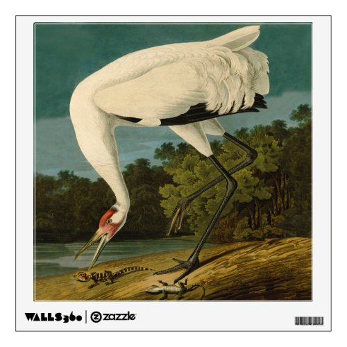 Whooping Crane Audubon Bird Painting Wall Sticker