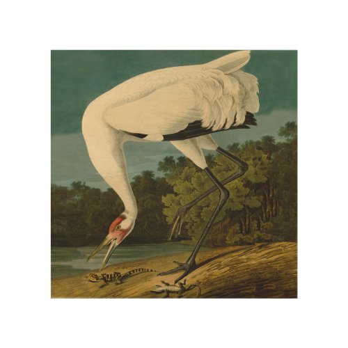 Whooping Crane Audubon Bird Painting Wood Wall Decor