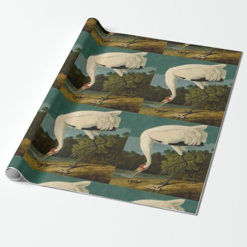 Whooping Crane Audubon Bird Painting Wrapping Paper