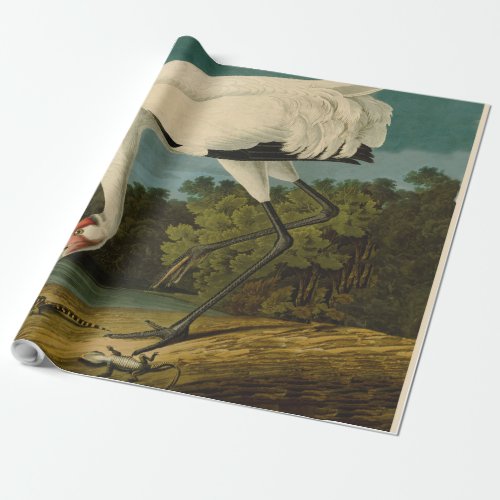 Whooping Crane Audubon Bird Painting Wrapping Paper