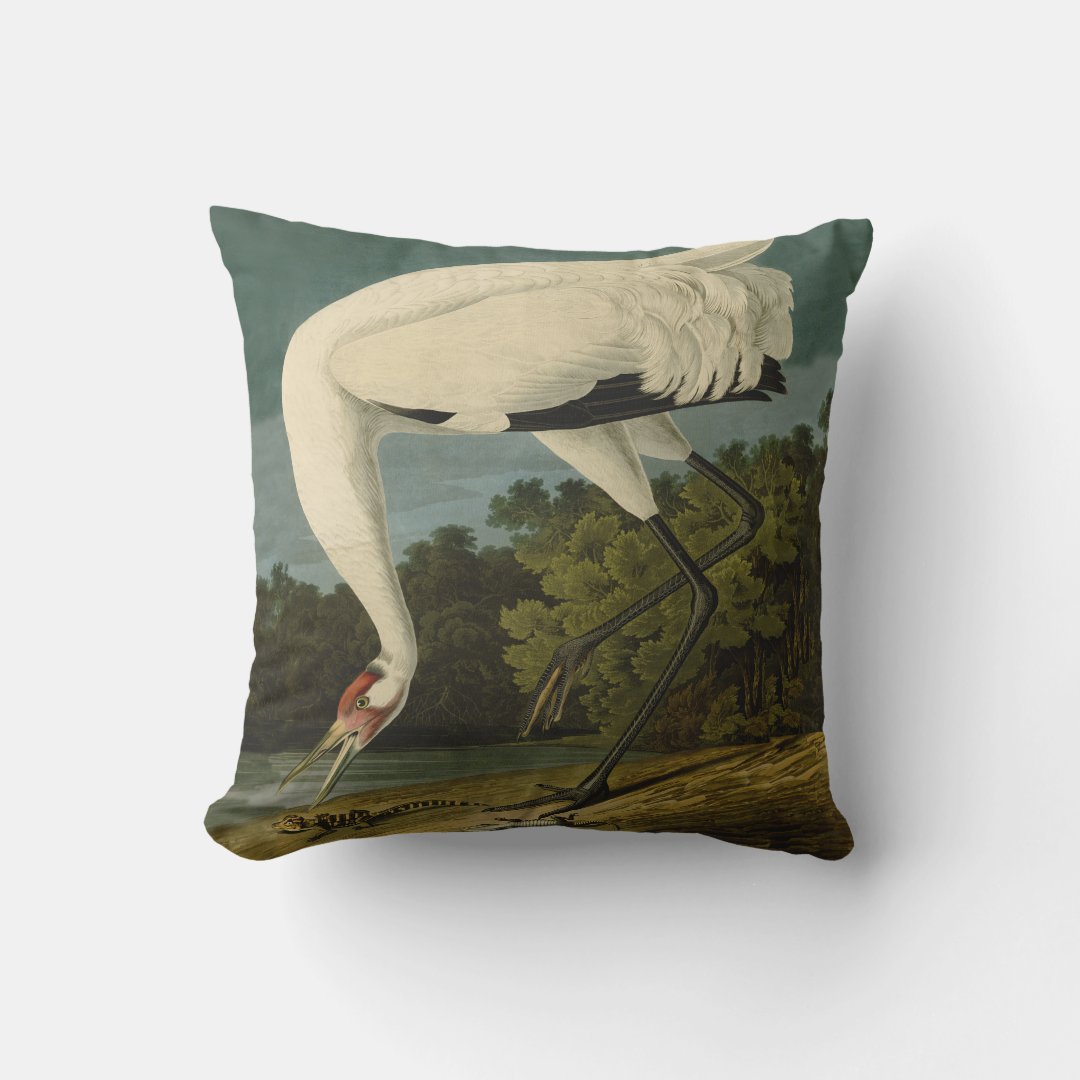 Whooping Crane Audubon Bird Print Throw Pillow Zazzle