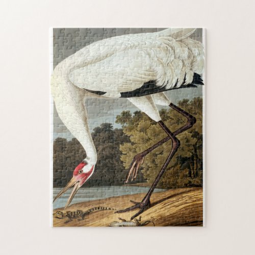Whooping Crane by John James Audubon Jigsaw Puzzle