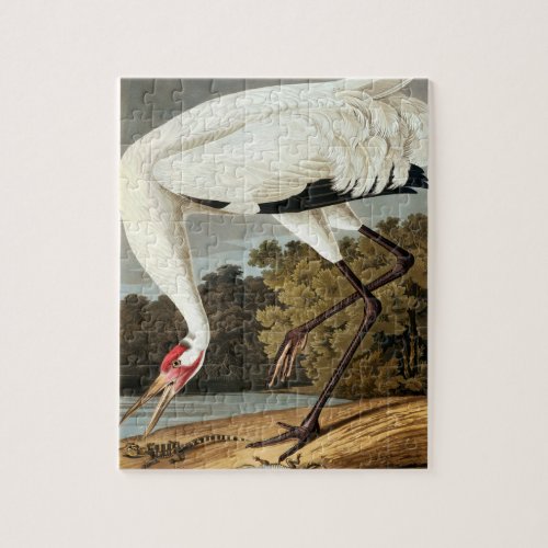 Whooping Crane by John James Audubon Jigsaw Puzzle