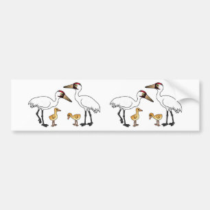Whooping Crane Family Bumper Sticker