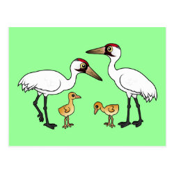 Whooping Crane Family Postcard