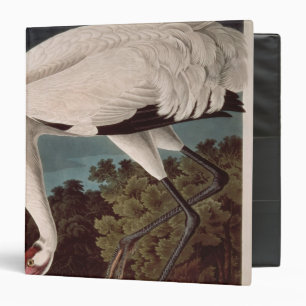Whooping Crane, from 'Birds of America' 3 Ring Binder