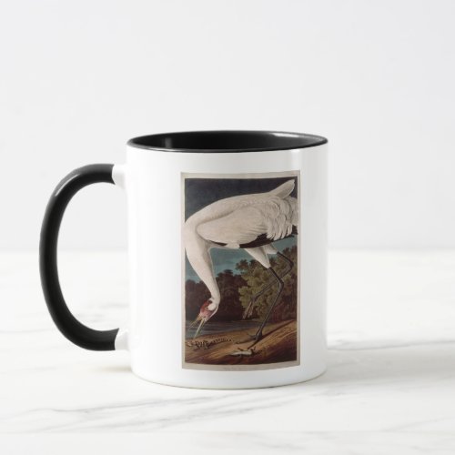 Whooping Crane from Birds of America Mug