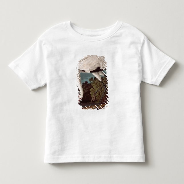 Whooping Crane, from 'Birds of America' Toddler T-shirt (Front)