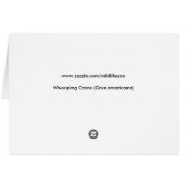 Whooping Crane (Grus americana) Cards (Back Horizontal)