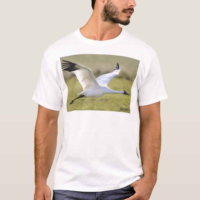 Whooping Crane (Grus americana) T-Shirt (Front)