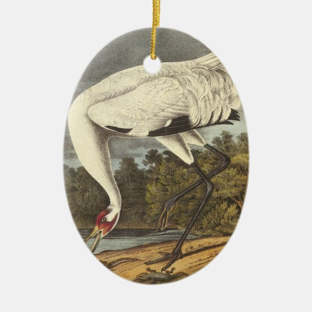Whooping Crane, John Audubon Ceramic Ornament (Front)