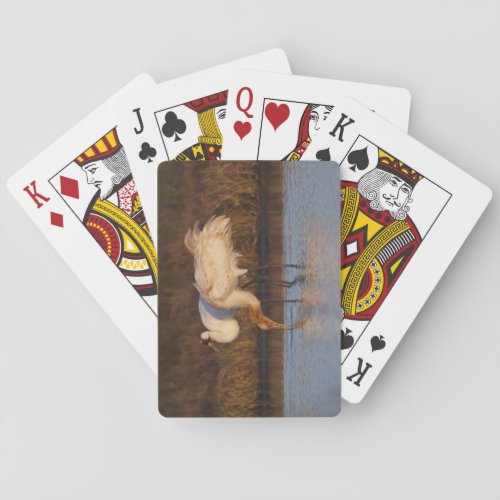 Whooping Crane wintering Poker Cards