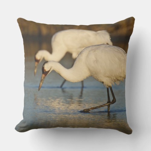 Whooping Crane wintering Throw Pillow