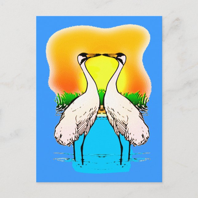 Whopping Cranes in Love Postcard (Front)