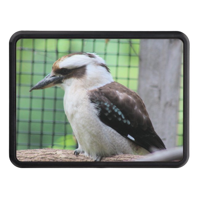 Who're calling a Kook  Hitch Cover (Front)