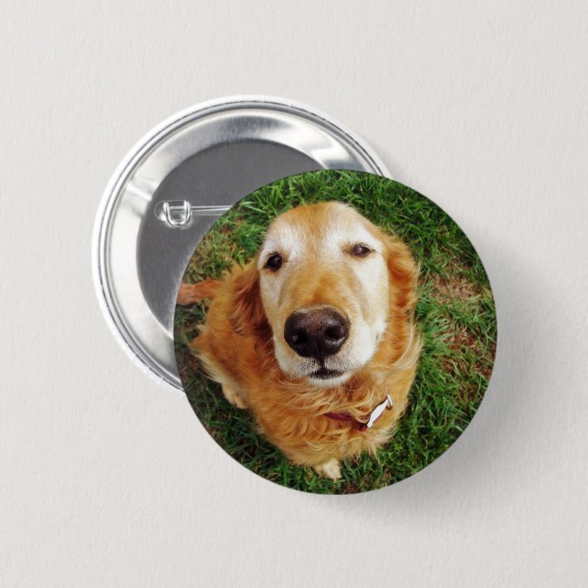 Who's a Good Boy Button (Front & Back)