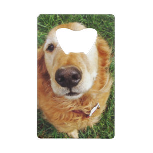 Who's a Good Boy Credit Card Bottle Opener