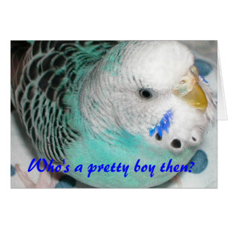 Who's a pretty boy then? cards