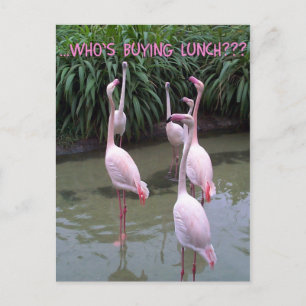 Who's buying lunch? postcard