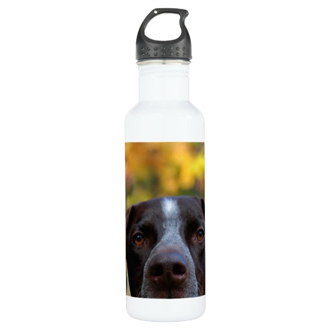 Who's Dat Dog? Water Bottle (Front)