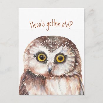Who's Gotten Old? Funny Birthday Wise Owl Humor Postcard by countrymousestudio at Zazzle