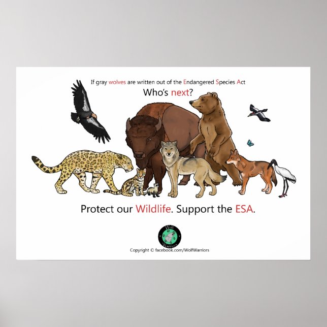 Who's Next Poster (Front)