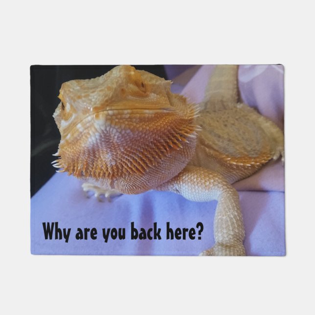 Why are you back here Hilarious Beardie Design Doormat (Front)