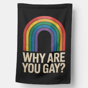 Why Are You Gay Funny Rainbow LGBTQ Pride Ally House Flag