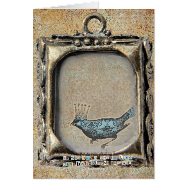 Why Bird, Birthday Cards (Front)