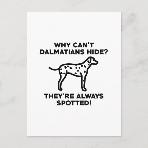 Why Cant Dalmatians Hide Postcard