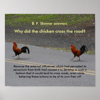 Why Did The Chicken Cross? - (small) poster