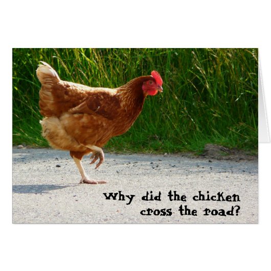 Why did the Chicken Cross the Road? Cards (Front Horizontal)