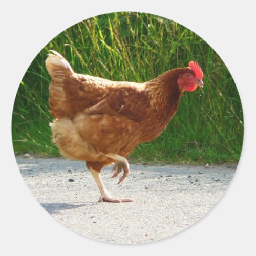 Why did the Chicken Cross the Road Classic Round Sticker