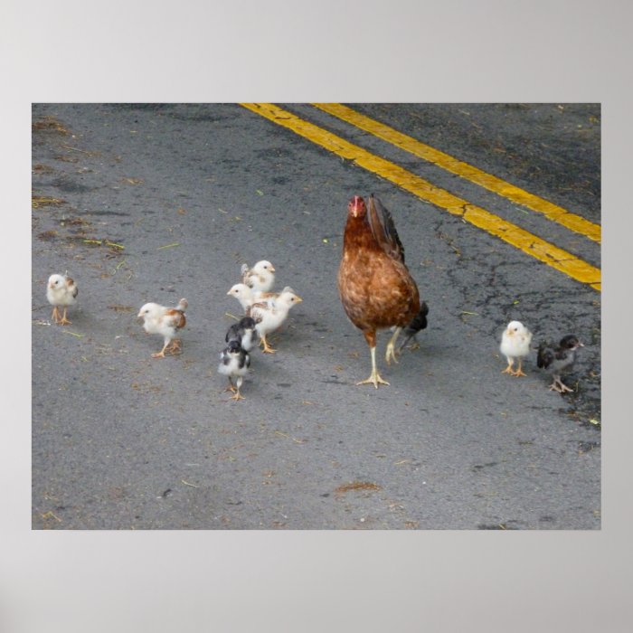 Why did the chicken cross the road? posters