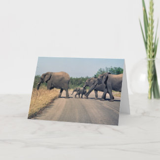 Why did the elephant cross the road? (1) card